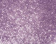 TOHO Transparent Frosted Sugar Plum Round 15/0 Seed Bead