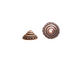 Nunn Design Antique Copper (plated) Sea Spire Bead Cap 6x11mm