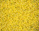 TOHO Transparent Rainbow Lemon Round 11/0 Seed Bead