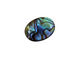 Abalone Oval Cabochon 13x18mm