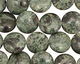 Kambaba Jasper Puff Coin 14mm