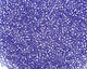 TOHO Sapphire (with Silver Lining) Round 15/0 Seed Bead