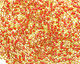 TOHO Jonquil (with Hyacinth Lining) Round 11/0 Seed Bead