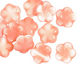 Czech Glass Cherry Blossom 5 Petal Daisy 14mm