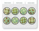 Seaspray Stitched Buttons 17mm