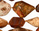 Madagascar Petrified Wood Faceted Nugget 15-28x10-18mm