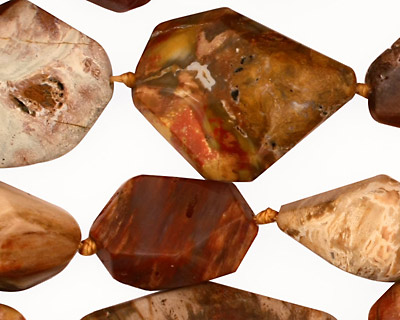 Madagascar Petrified Wood Faceted Nugget 15-28x10-18mm