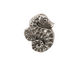 Green Girl Pewter Seahorse Button18x23mm
