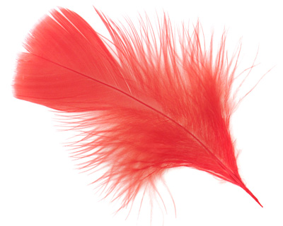 Tangerine Turkey Flat Feather 100-152mm