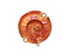 Patricia Healey Copper Flat Spiral Link 24mm