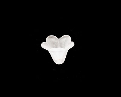 Lucite Alabaster 5 Petal Mini Bellflower 11x14mm