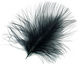 Ebony Marabou Feather 100-152mm