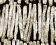 Pearly White Biwa Stick Center-Drilled 25-30mm