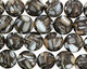 Shell Mosaic (onyx) Puff Coin 10mm
