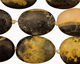 Mexican Sunflower Agate Tumbled Oval Nugget 22-28x16-20mm