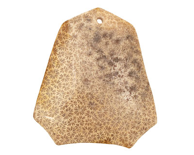 Fossil Coral Ladder Pendant 38-40x44-45mm