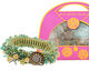 Glass Garden Seashore Caterpillar Bracelet Kit