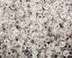 TOHO Transparent Rainbow Crystal Round 6/0 Seed Bead