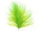 Chartreuse Marabou Feather 100-152mm