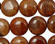 Fossil Coral (red) Puff Coin 16mm