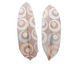 Geometric Pastel Circles Printed Feathers
