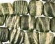 Green Zebra Jasper Puff Square 12mm
