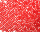 TOHO Transparent Ruby Round 8/0 Seed Bead