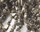 Golden Pyrite (silver tone) Chips