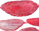 Pink Agate Natural Edge Freeform Faceted Slab 47-70x28x40mm