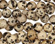 Dalmatian Jasper Round 8mm