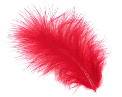 Scarlet Marabou Feather 100-152mm