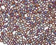 TOHO Transparent Rainbow Frosted Amethyst Round 8/0 Seed Bead