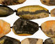 Mexican Sunflower Agate Faceted Nugget (long) 21-33x9-18mm