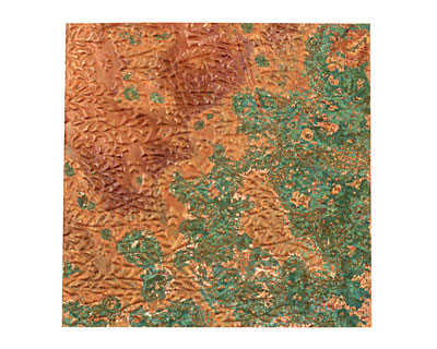 Lillypilly Verde Flower Garden Embossed Patina Copper Sheet 3