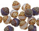 Czech Glass Grape Mix Turbine 11x10mm