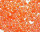 TOHO Opaque Frosted Pumpkin Round 8/0 Seed Bead