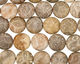 Gray Fossil Coral Puff Coin 10mm