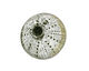 Humble Beads Polymer Clay Green Small Sea Urchin 22-23mm