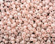 TOHO Ceylon Innocent Pink Magatama 3mm Seed Bead