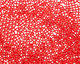 TOHO Ruby (with Frosted Silver Lining) Round 11/0 Seed Bead