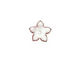 C-Koop Enameled Metal White Small 5 Petal 12mm