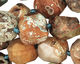 Red Forest Agate Faceted Nugget 14-16x15-17mm