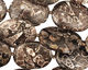 Turritella Agate Flat Oval 25-30x20mm