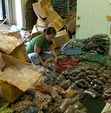 Picking stones