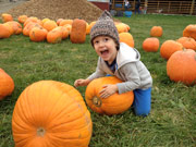 Gable picking out a pumpkin