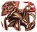 Copper Links & Connectors