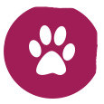 Animal Lover