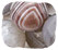 Botswana Agate Beads