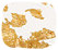 Gold Foil Acetate Charms & Focals