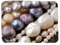 Freshwater Pearls